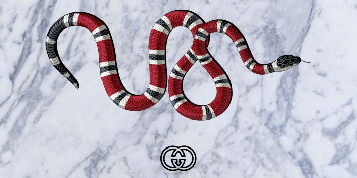 3008x2000 Small Snake Wallpapers