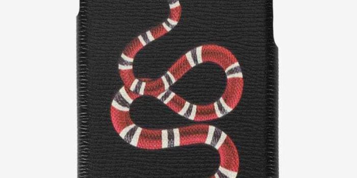 800x1067 Gucci Snake Wallpaper Hd Iphone - wallpaper iphone