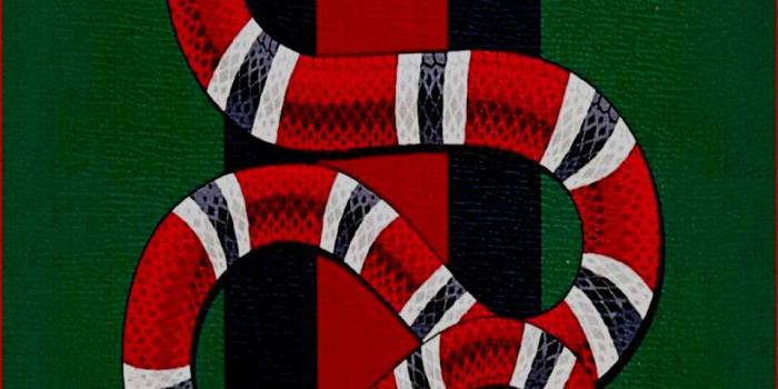 960x2090 Gucci Snake Wallpaper Black ✓ The Best HD Wallpaper