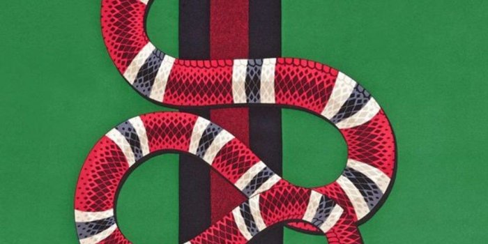 1082x1921 New Gucci Snake Iphone Wallpaper Wallpaper - Wallpaperzen.org