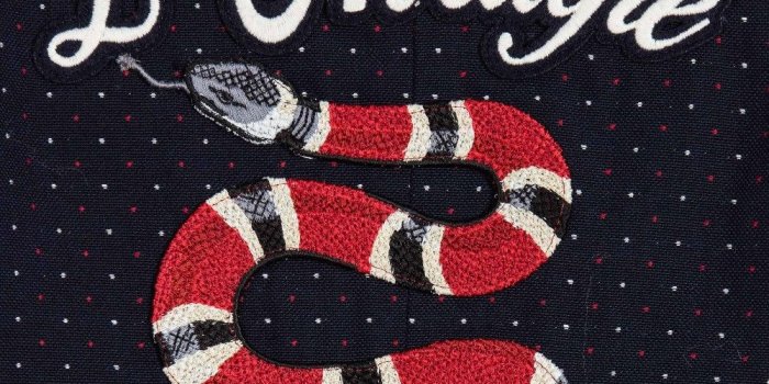 1000x1000 Free download Gucci Boys Navy Blue Micro Dot Blazer with Snake