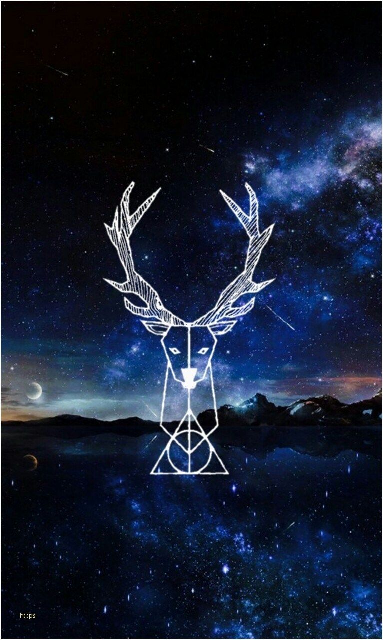 767x1280 Harry Potter Wallpapers Phone | Djiwallpaper.co