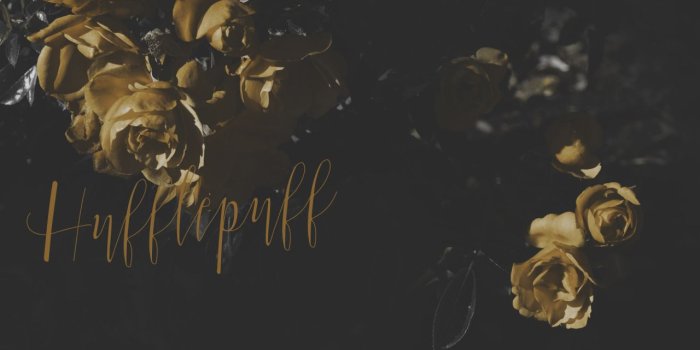 1280x720 Hogwarts Houses Wallpaper (56+), Download 4K Wallpapers For Free