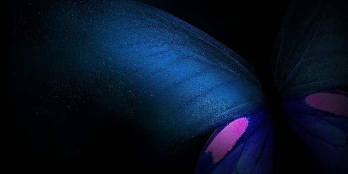 1024x1024 Download Samsung Galaxy Fold Wallpapers leaked from One UI 1.2