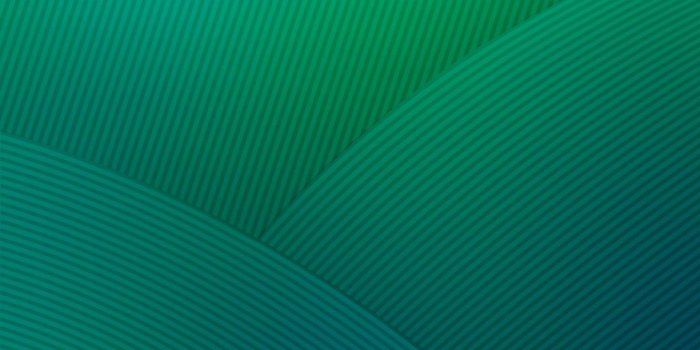 1440x2560 ZTE MiFavor 5.0 UI Stock Wallpaper 07 - [1440x2560]