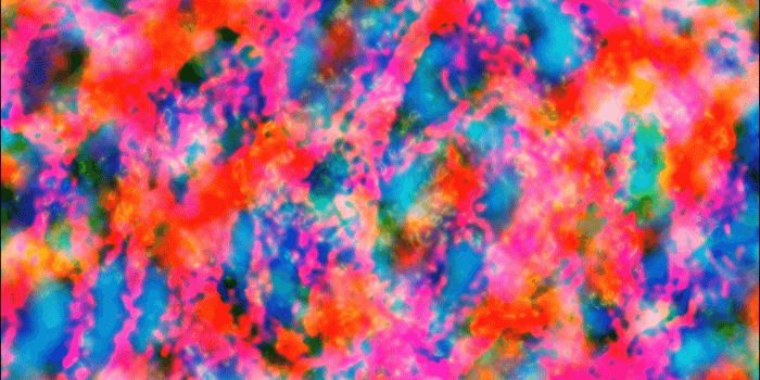 2560x1440 Wallpaper : painting, abstract, LSD, texture, bright, trippy, color