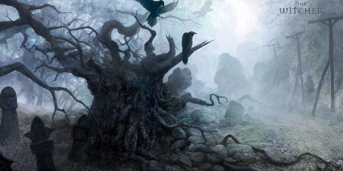 1920x1080 WALLPAPER] The Witcher 1 was a perfect game thematically : witcher