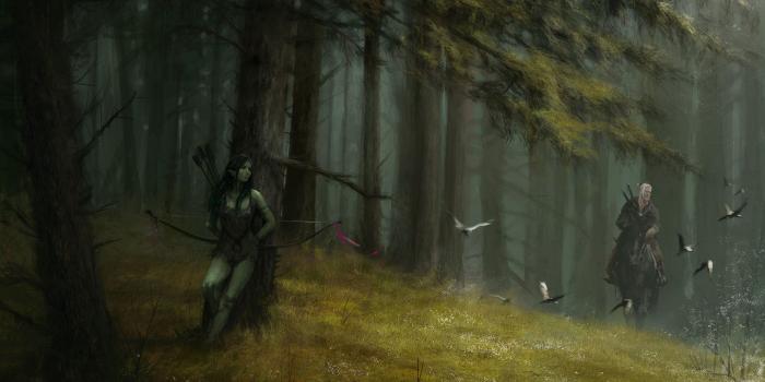 1920x1080 The Witcher Wallpapers - Album on Imgur