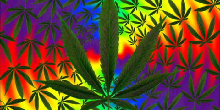 1440x1080 Trippy Weed Wallpapers