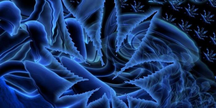 1024x768 Trippy Weed Wallpapers Desktop Background