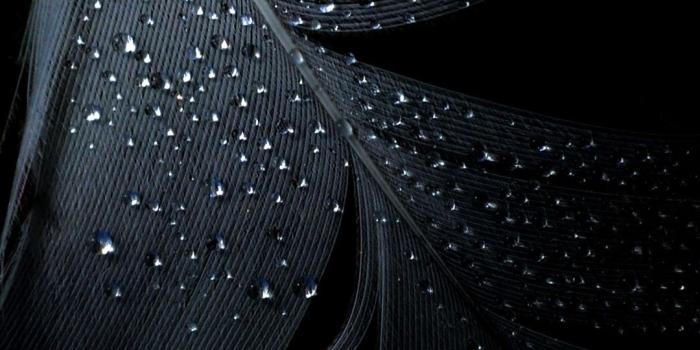 1080x1920 Black Solid Wallpaper on WallpaperGet.com