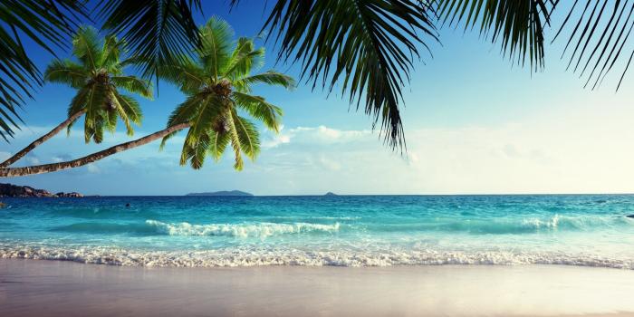 2560x1600 Emerald Sea Paradise Sunshine Beach Wallpaper [2560x1600]