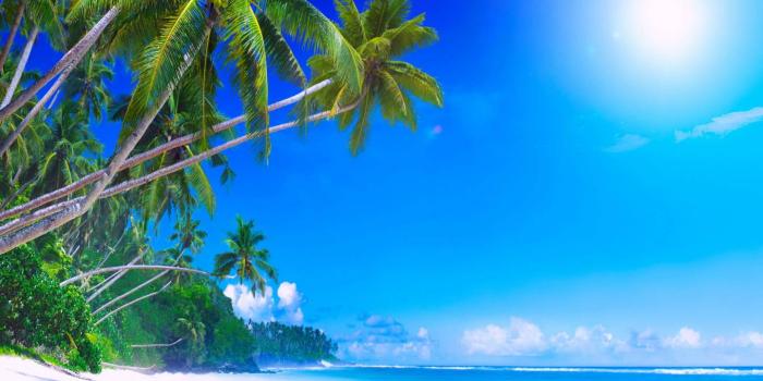 1440x1280 Sunshine Beach Wallpaper by _MARIKA_ - 87 - Free on ZEDGE™