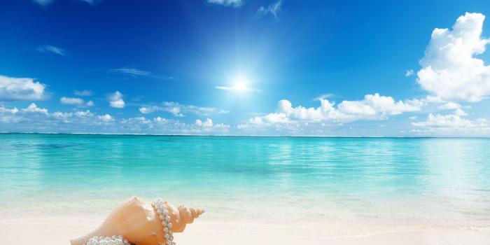 1332x850 Wallpaper sunshine, beach, sea, sand, seashell images for desktop