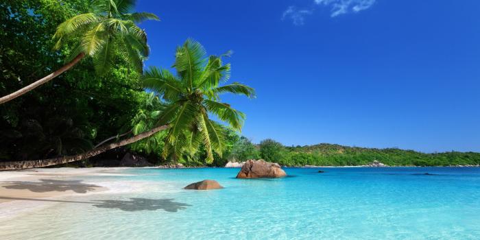 2560x1600 Wallpaper Tropical paradise, sunshine, beach, coast, sea, palm trees