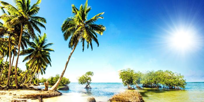 4685x2615 Beaches: Tropical Paradise Sunshine Beach Palms Sea Shore Phone