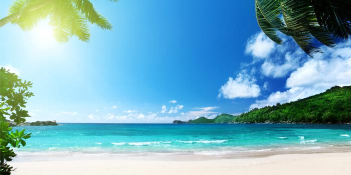 6480x4320 beach, Summer, Palms, Ocean, Tropical, Paradise, Sea, Sunshine