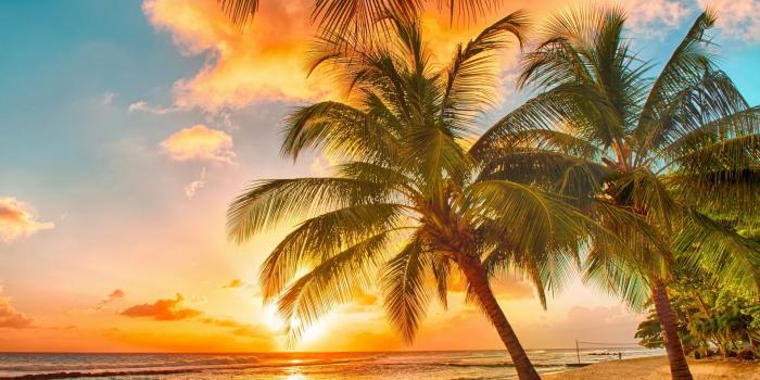 1920x1200 Good morning sunshine beach and coconut trees | HD Wallpapers Rocks