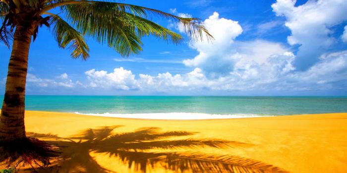 1600x1000 Sunshine Beach | Free HD Wallpaper Download Here