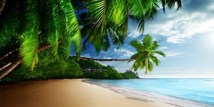 1222x700 Tropical paradise sunshine beach palmeras wallpaper | 4800x2751
