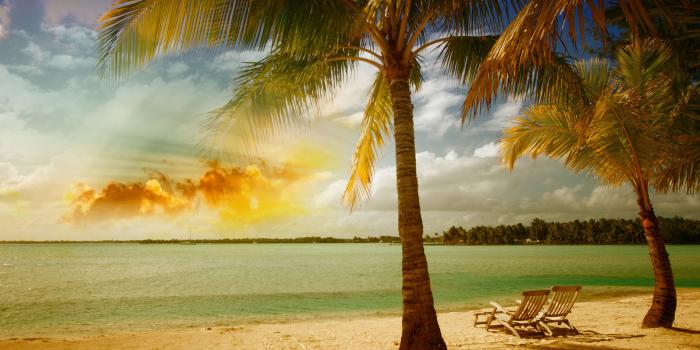 3739x2501 sea, palm, tropical, beach, sunshine, sand :: Wallpapers