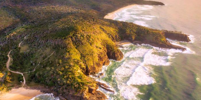 1200x899 May 2018 Desktop Wallpaper - Noosa National Park