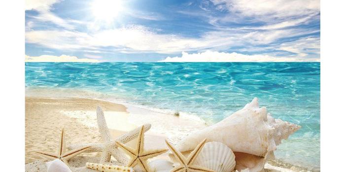 1050x1050 Amazon.com: Fantasy Star Aquarium Background Sunshine Beach Ocean