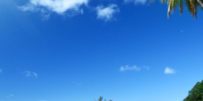 1080x1920 1080x1920 summer, ocean, sea, palms, sunshine, beach, tropical