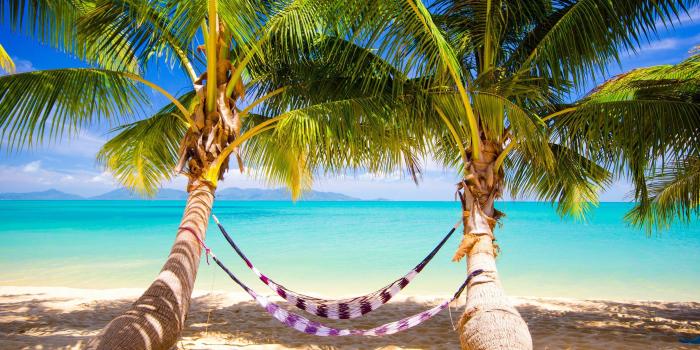 3930x2550 Tropical sea paradise summer sunshine palms beach ocean wallpaper