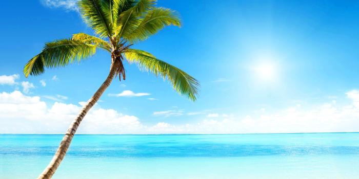 3000x2090 Beach: Tropic Vacation Water Island Holidays Shore Sky Season Nature