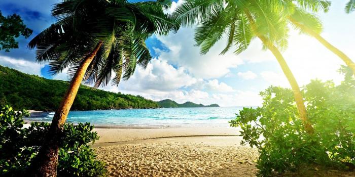1366x768 Beach: Tropical Paradise Sand Oceans Nature Beaches Sunshine Beach
