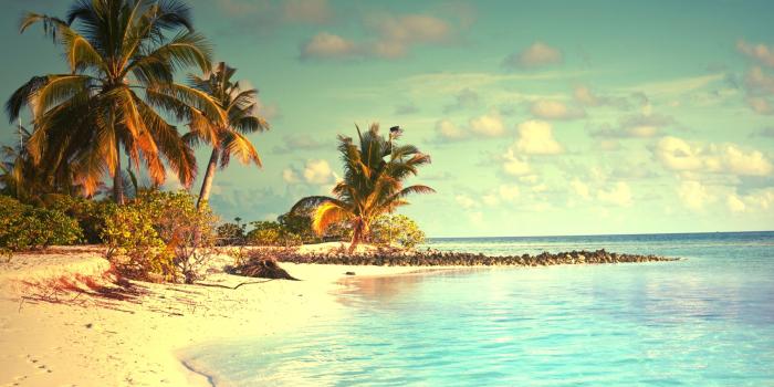 3785x3110 tropical, Paradise, Beach, Palms, Sea, Ocean, Sunshine, Summer