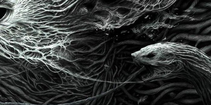 1080x1920 Wallpapers Phone Cool Black - 2019 Android Wallpapers