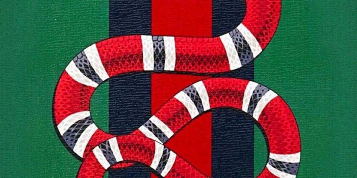 960x1706 Gucci Wallpaper For Iphone (112+ images in Collection) Page 1