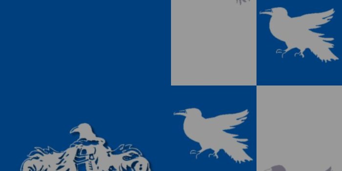 800x1200 Harry Potter Ravenclaw Wallpapers