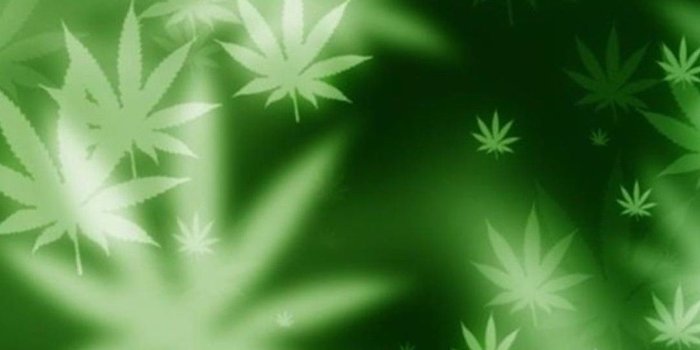1080x1920 Green Leaf Design | selamat hariraya | Marijuana wallpaper, Weed