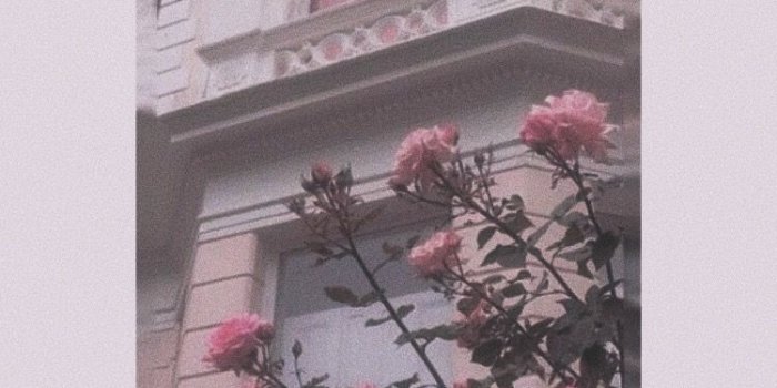 750x1331 frases #quotes #fondosdepantalla #wallpaper #pink #flowers