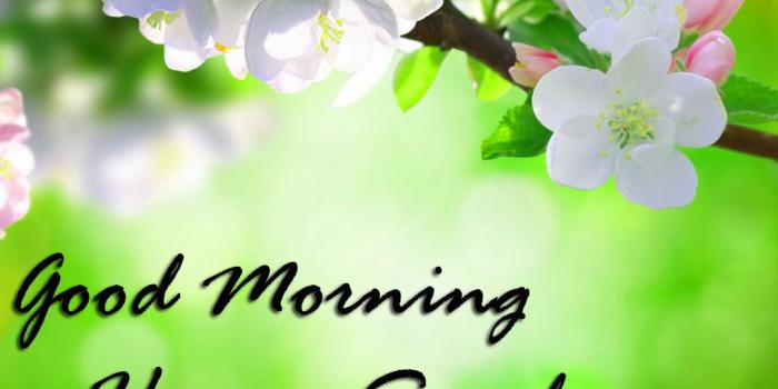 1024x768 Sunday Good Morning Wallpaper Pics Download - Whatsapp Good Morning