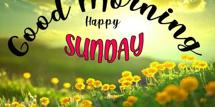 1136x720 Sunday Good Morning Quotes Images Wishes Wallpaper Photo Pics