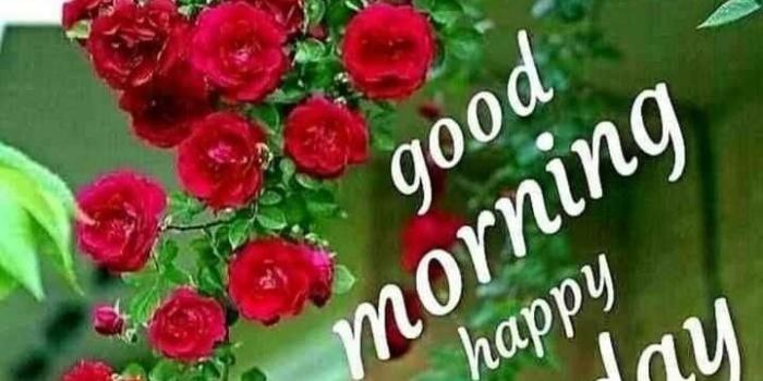 720x1124 Sunday Good Morning Images In Hindi - Climbing Red Roses (#15918