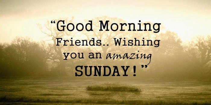 1250x828 100 Good Morning Sunday Wishes Quotes Images - Inspiration Sunday