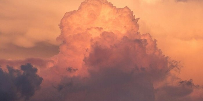 1037x1843 Indie Nature Wallpapers - Top Free Indie Nature Backgrounds