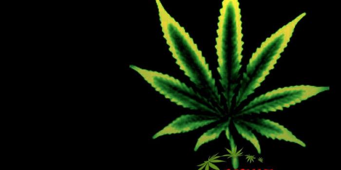 1024x768 wallpaper - Marijuana Wallpaper (235762) - Fanpop