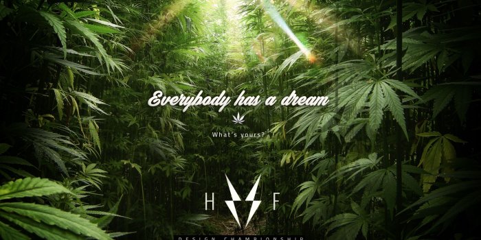 2800x1880 Weed Wallpaper Desktop ·① WallpaperTag