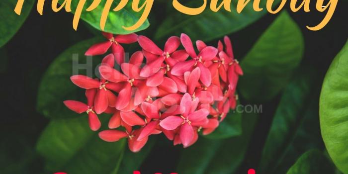 1024x768 Happy Sunday Good Morning Wishes, Quotes Images, Pics, HD Wallpaper