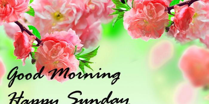 2880x1800 Sunday Good Morning Quotes Images Wishes Wallpaper Photo Pics