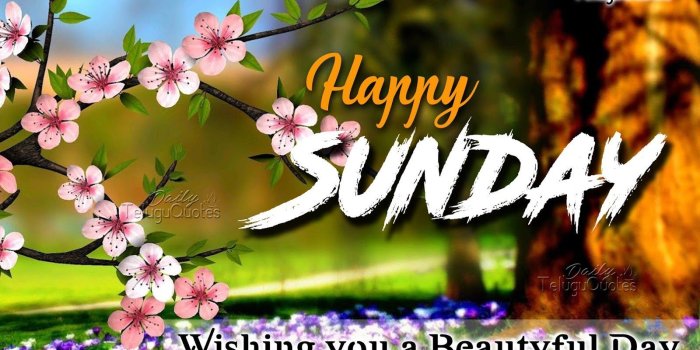 1600x1066 Happy Sunday Wallpapers