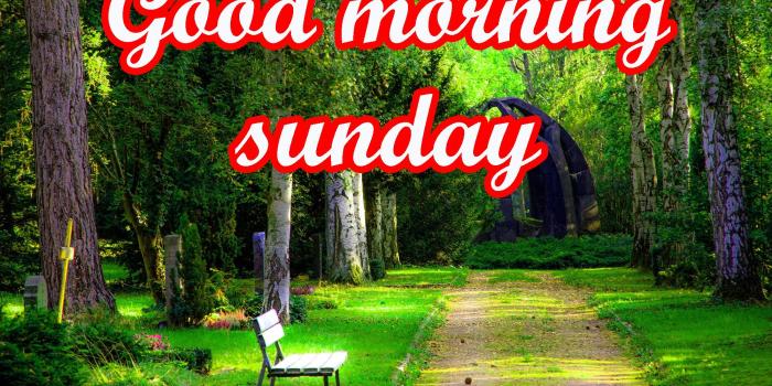 2000x1333 sunday good morning Images – Seo Tutorial