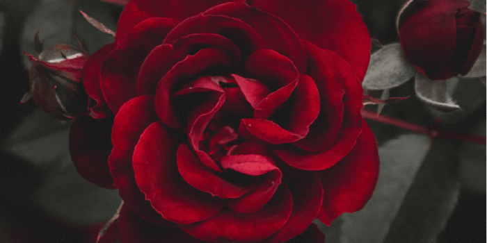 841x1525 Happy Sunday Good Morning Wallpaper - Good Morning Sunday Gif, Hd