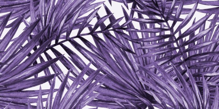 1024x1024 Palm Leaf Pattern in Violet Purple | W1185